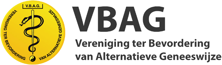 logo-vbag
